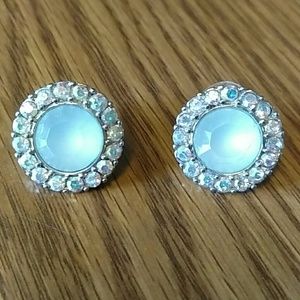 Mint earrings with irridescent jewels surrounding